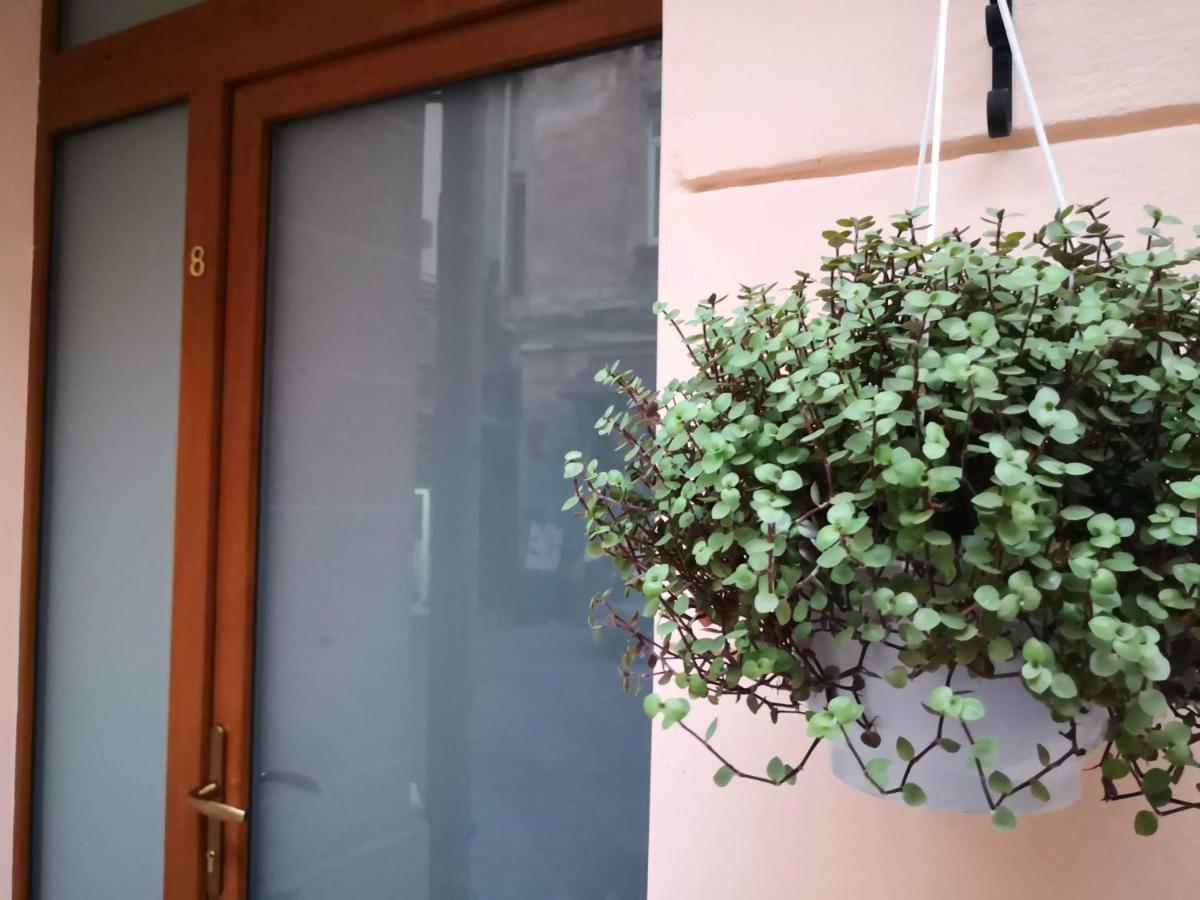 Затишні Апартаменти, Вулиця Дерибасівська, 13 Odessa Buitenkant foto