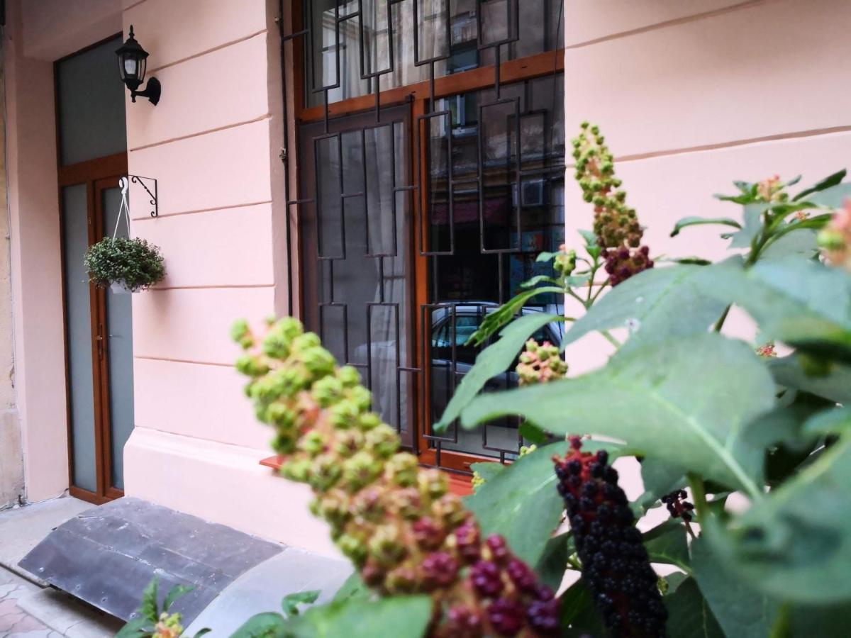 Затишні Апартаменти, Вулиця Дерибасівська, 13 Odessa Buitenkant foto