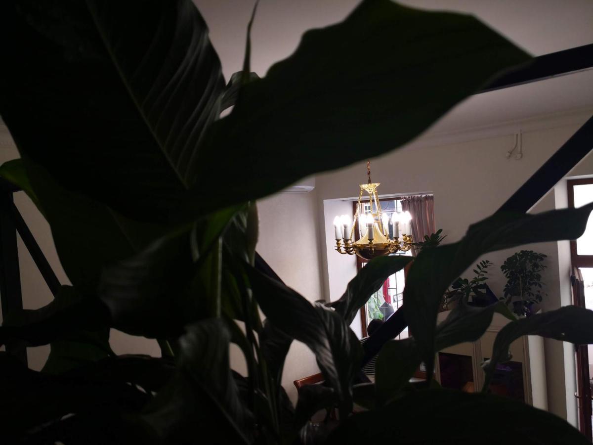Затишні Апартаменти, Вулиця Дерибасівська, 13 Odessa Buitenkant foto